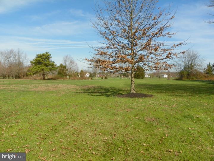 7283 Pearsons Corner Road Dover, DE 19904 - Photo 20 of 22 View in Back