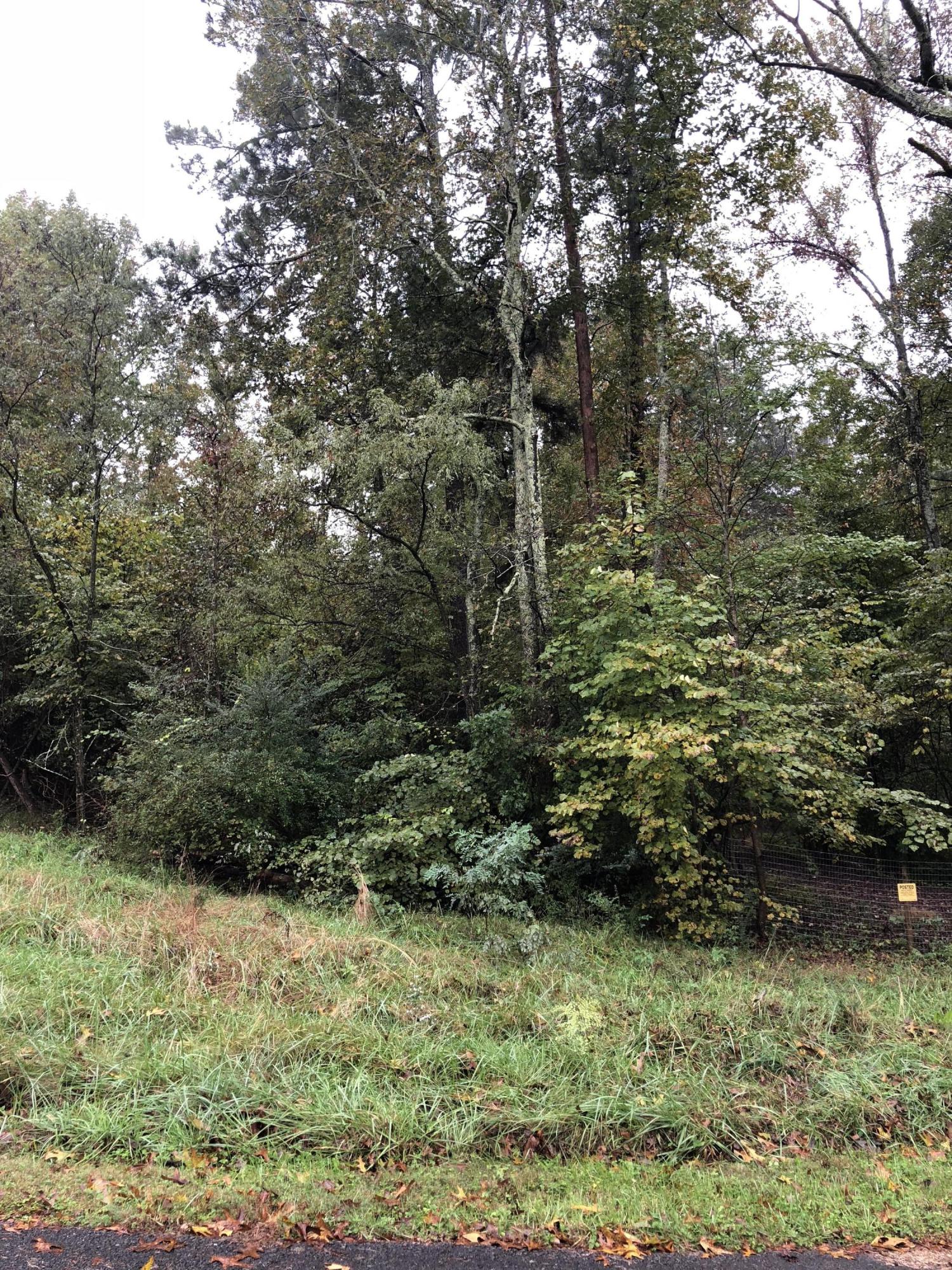 12 County Road 705 Riceville, TN 37370 - Photo 6 of 7 Pic2 of lot 12 Browder lot