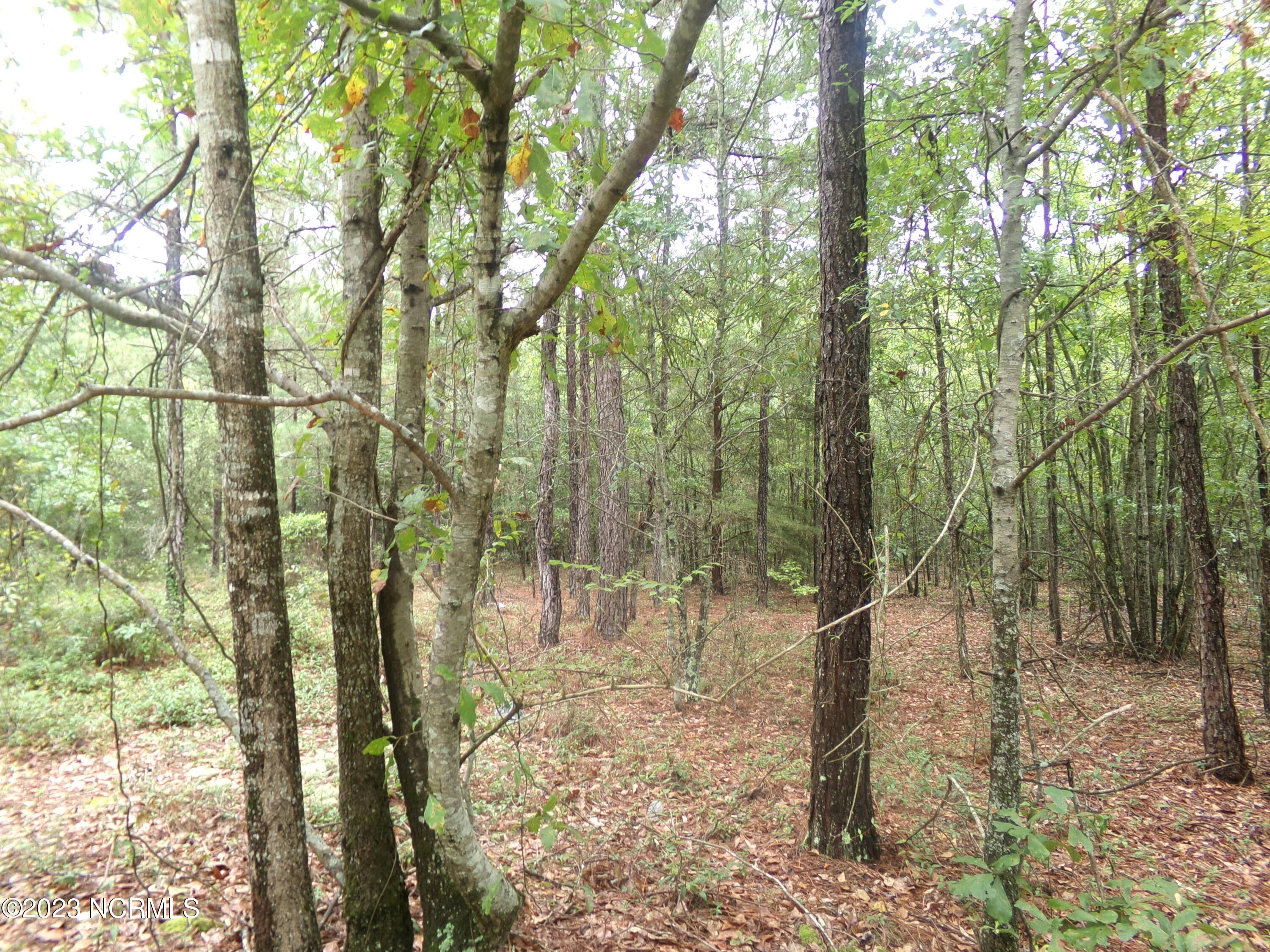 608 West 74th Highway Rockingham, NC 28379 - Photo 4 of 6 139_0138