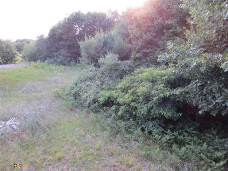 1111 North Buys Road Muskegon, MI 49445 - Photo 3 of 20 Additional Photo