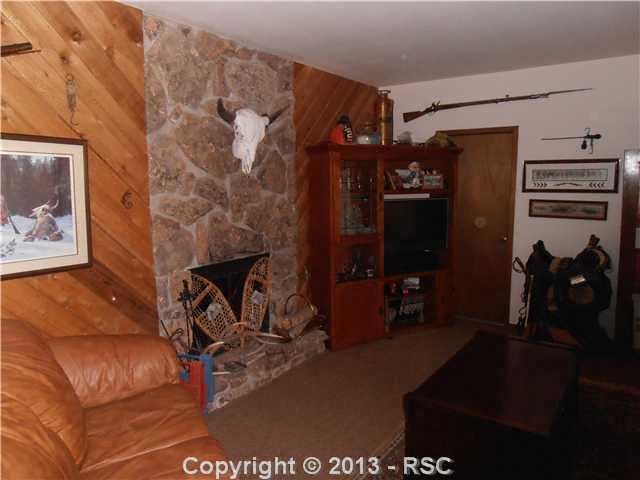 3685 El Rancho Way Monument, CO 80132 - Photo 20 of 25 family room-also has a walkout