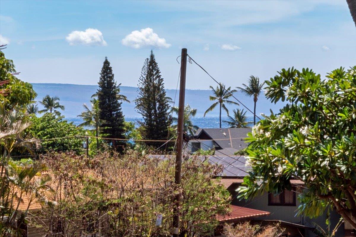 3740 Lower Honoapiilani Road, Unit E102 Lahaina, HI 96761 - Photo 7 of 41 a view of a yard with plants