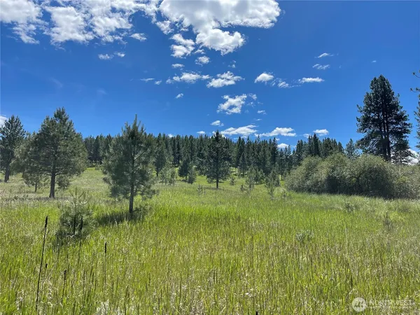 $37,500 | 0 A Chopaka Way East, Tonasket, WA 98855
