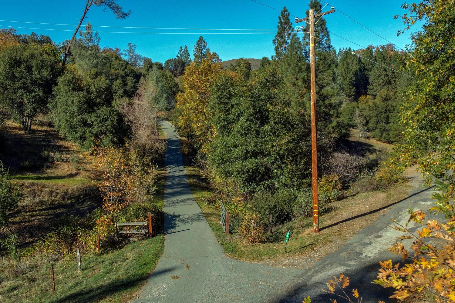 7123 Swiss Ranch Road Mountain Ranch, CA 95246 - Photo 2 of 66 a view of a yard with plants