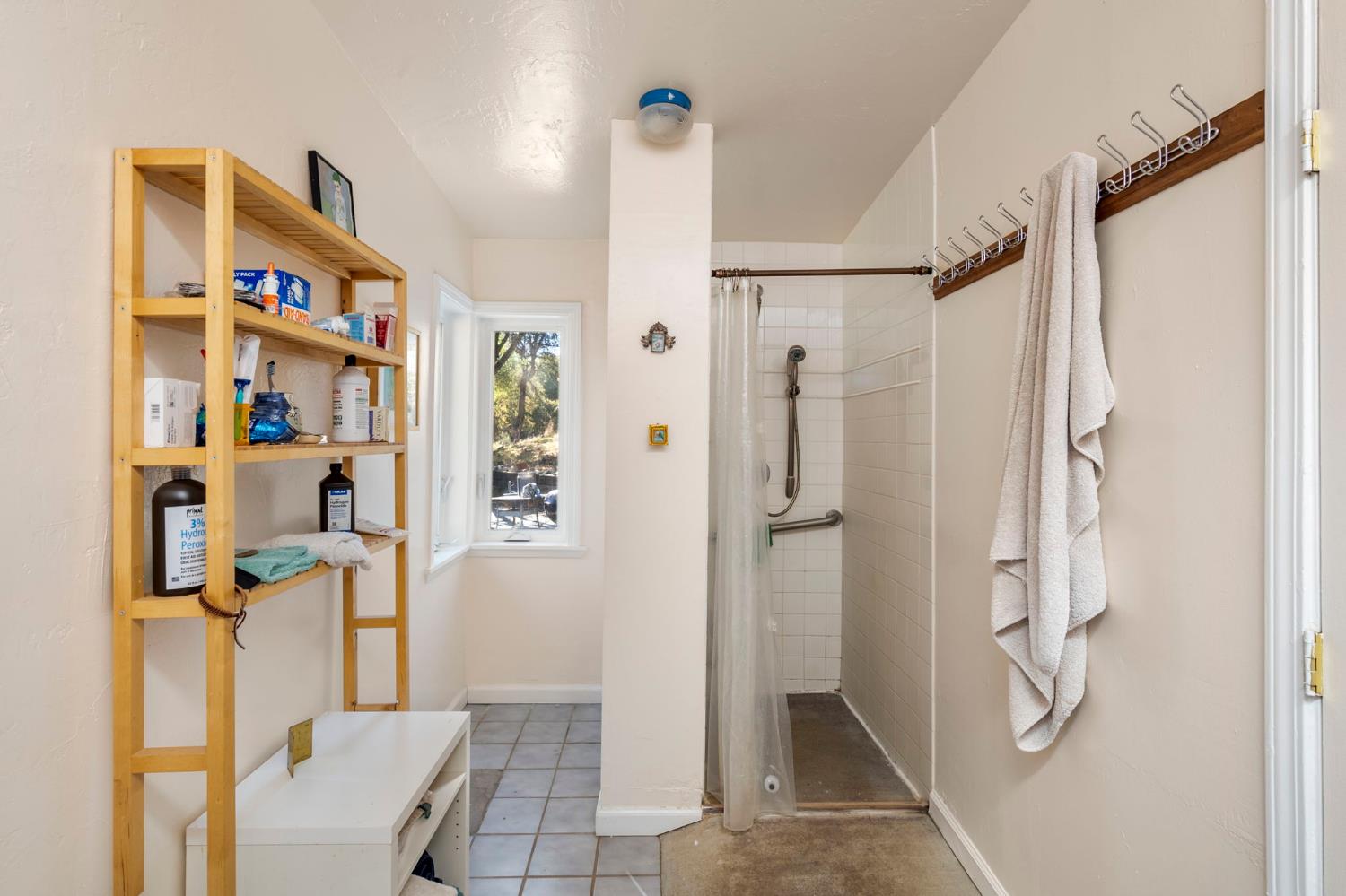 7123 Swiss Ranch Road Mountain Ranch, CA 95246 - Photo 34 of 66 Primary Bathroom