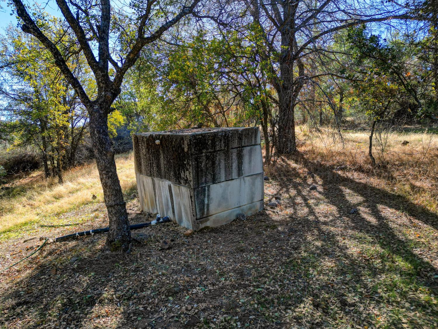 7123 Swiss Ranch Road Mountain Ranch, CA 95246 - Photo 57 of 66 a view of a backyard with large trees and a barn