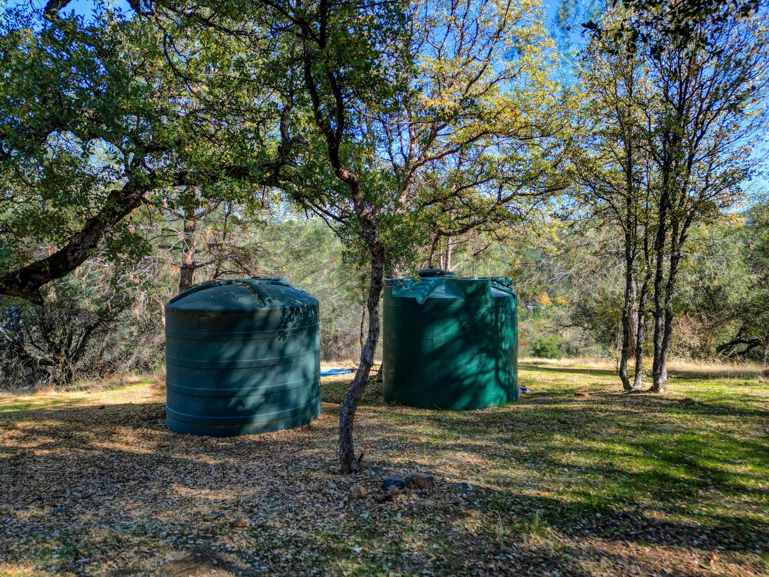 7123 Swiss Ranch Road Mountain Ranch, CA 95246 - Photo 58 of 66 a backyard of a house with lots of green space