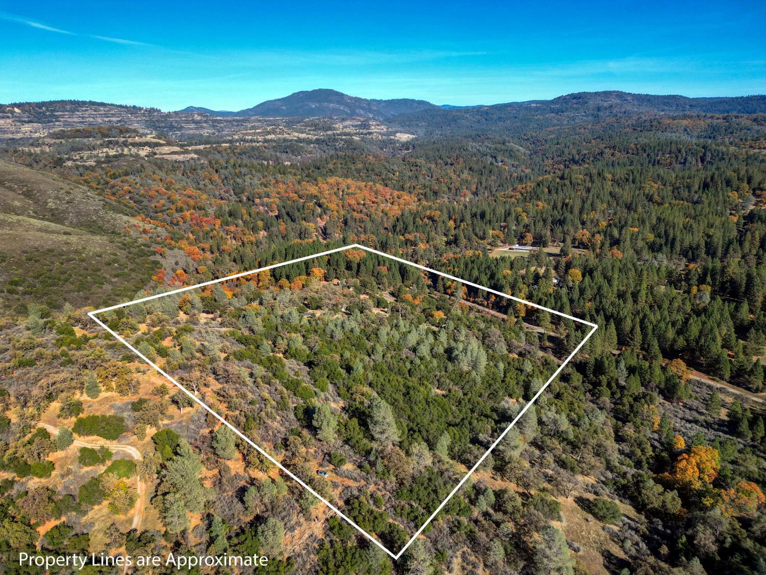 7123 Swiss Ranch Road Mountain Ranch, CA 95246 - Photo 66 of 66