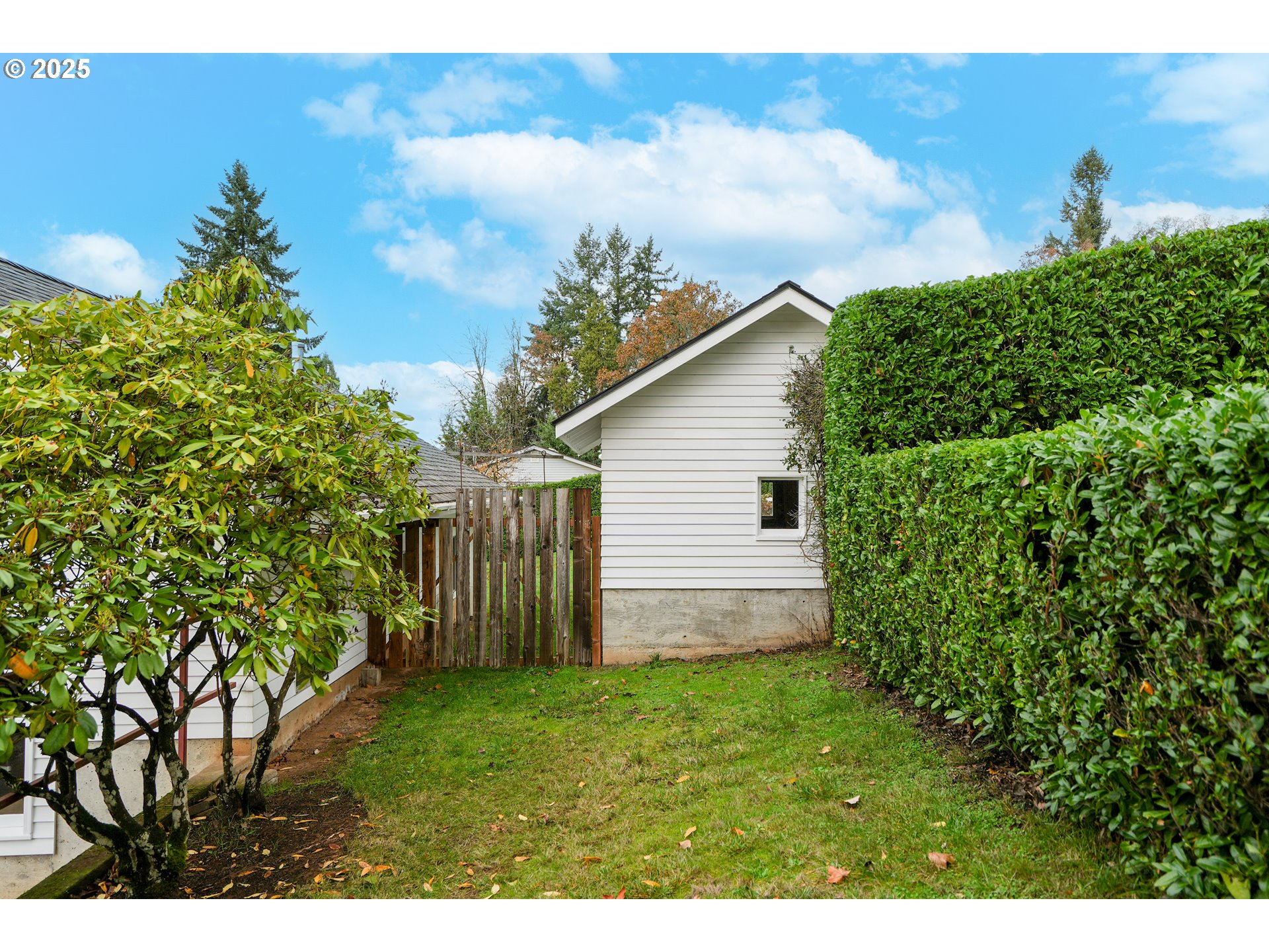 619 B Street Silverton, OR 97381 - Photo 7 of 42 a backyard of a house with lots of green space
