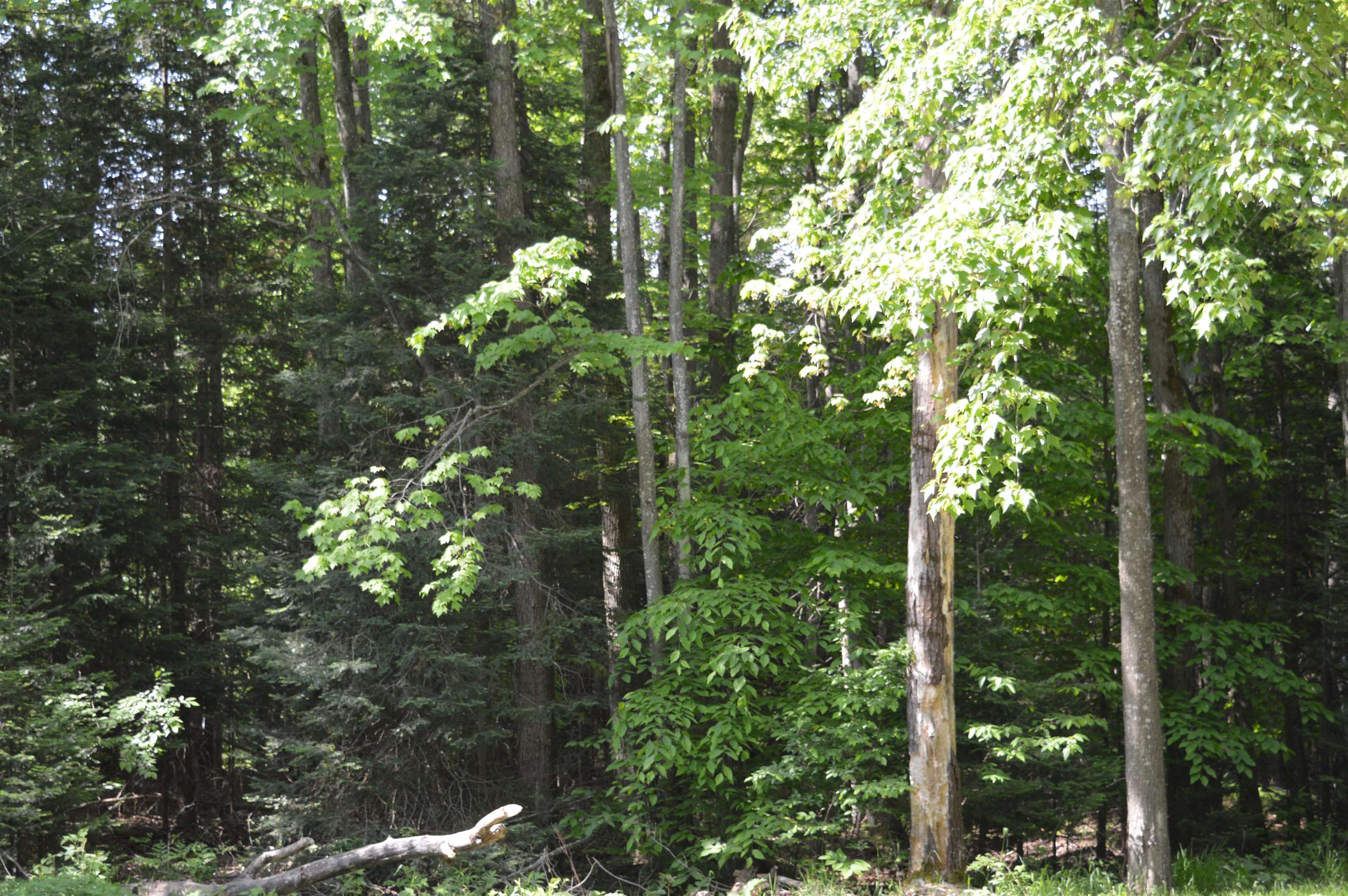 6166 Butler Road Southwest South Boardman, MI 49680 - Photo 20 of 36 1900433-19.JPG