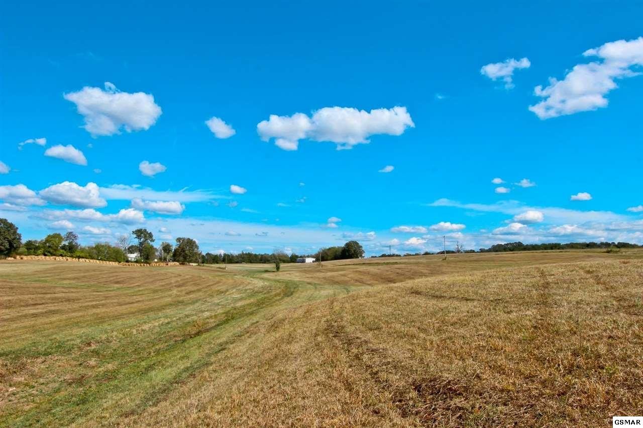 2 Timber Ridge Road Greeneville, TN 37743 - Photo 13 of 27 Gallery Image 13