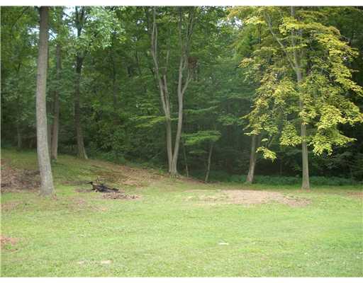 149 Rydle Road Mount Pleasant, PA 15666 - Photo 16 of 18 Yard/Garden. Gorgeous ACRE
