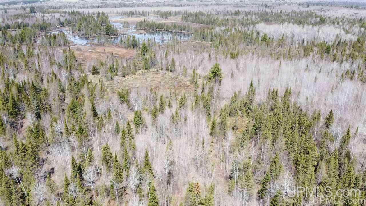 Tbd Mud Lake Road Lake Linden, MI 49945 - Photo 12 of 18