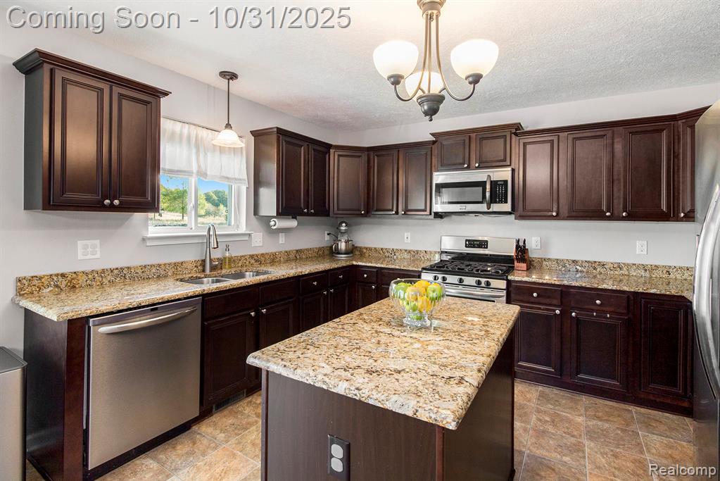 9123 Oneida Way Pinckney, MI 48169 - Photo 10 of 30 Gallery Image 10