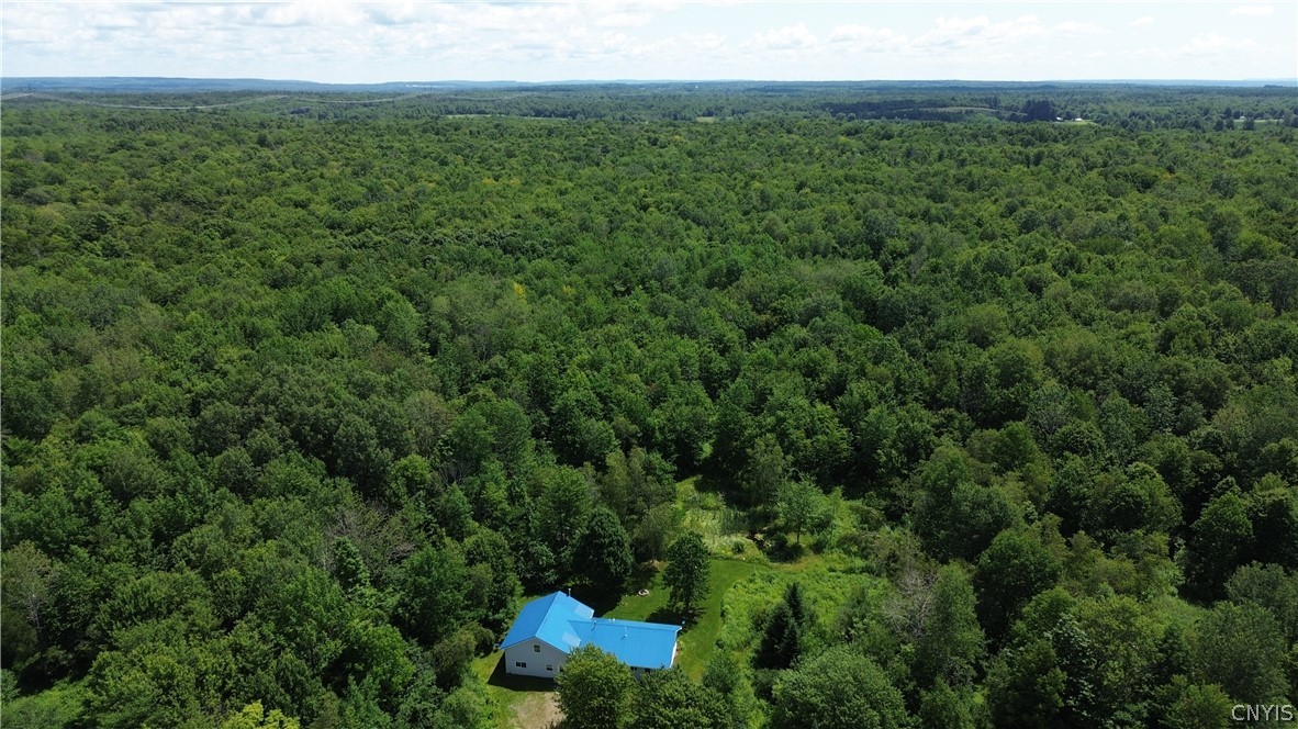 10066 Point Rock Road Taberg, NY 13471 - Photo 4 of 46