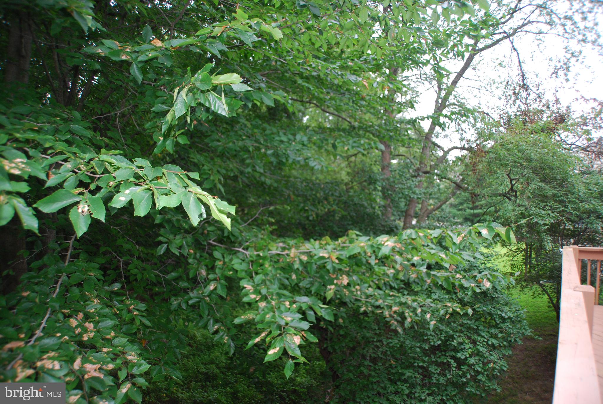 4 Boundary Road Newark, DE 19711 - Photo 9 of 25
