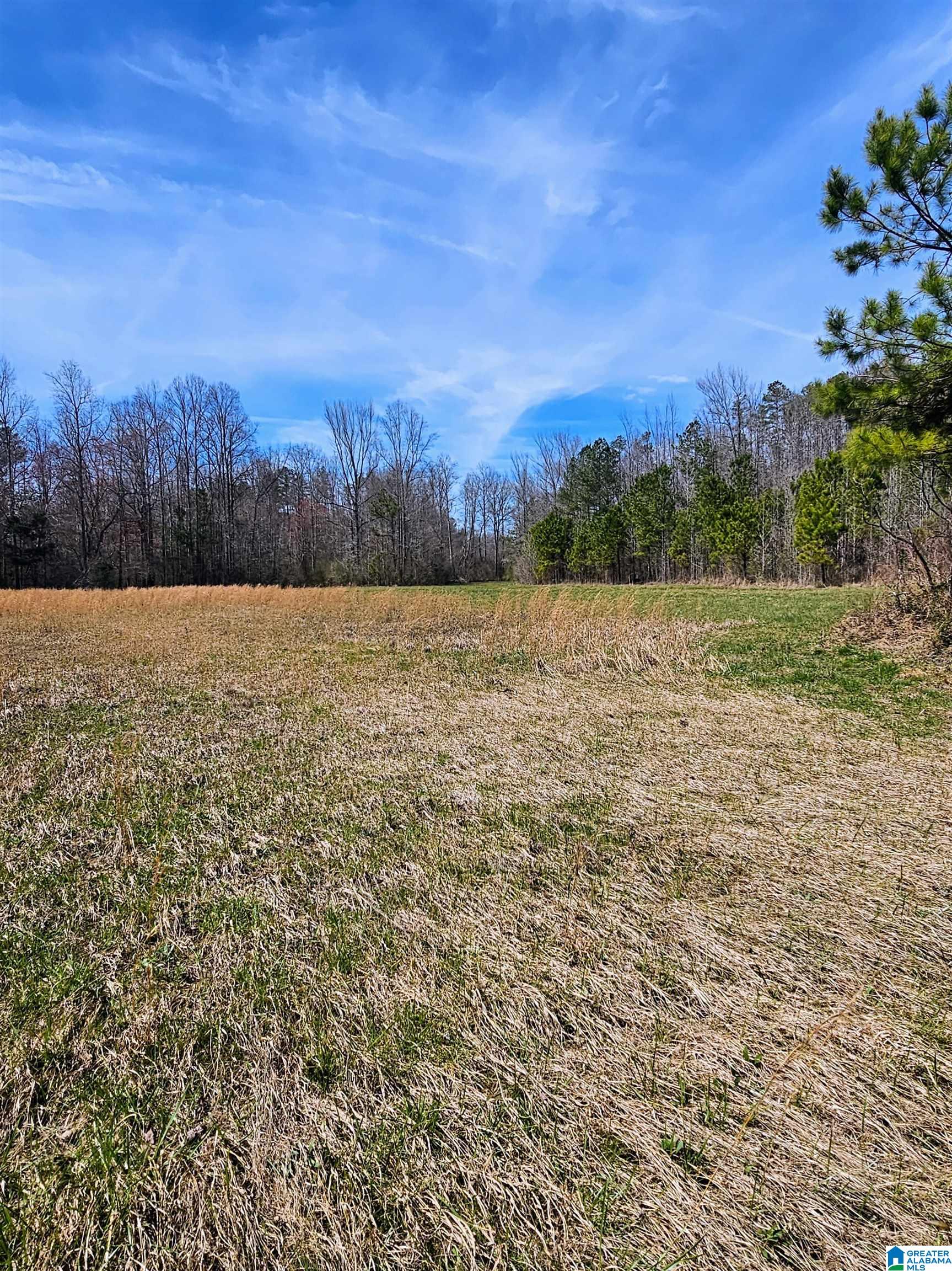 773 County Road 949, Unit 1 Fruithurst, AL 36262 - Photo 4 of 10