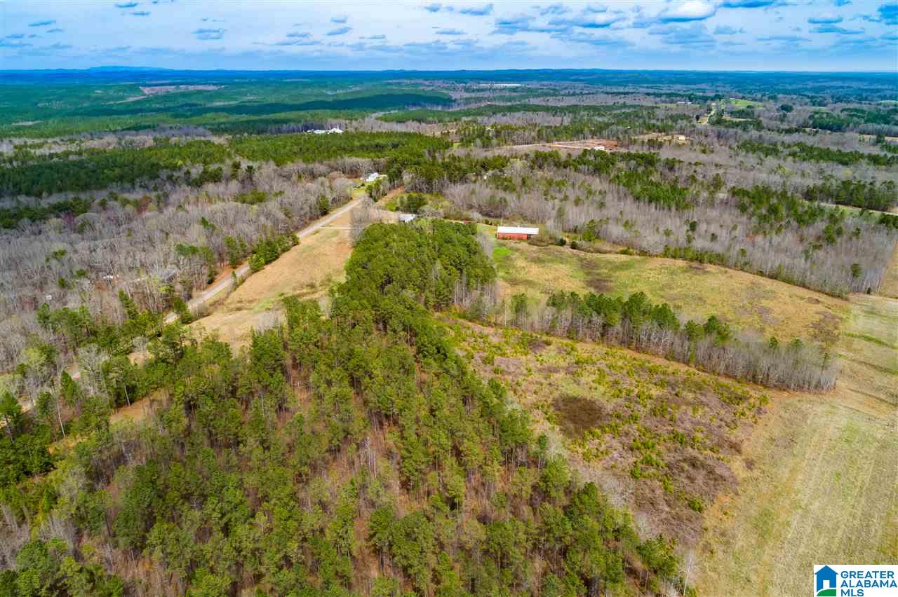 4199 Cowpens Road Alexander City, AL 35010 - Photo 35 of 50
