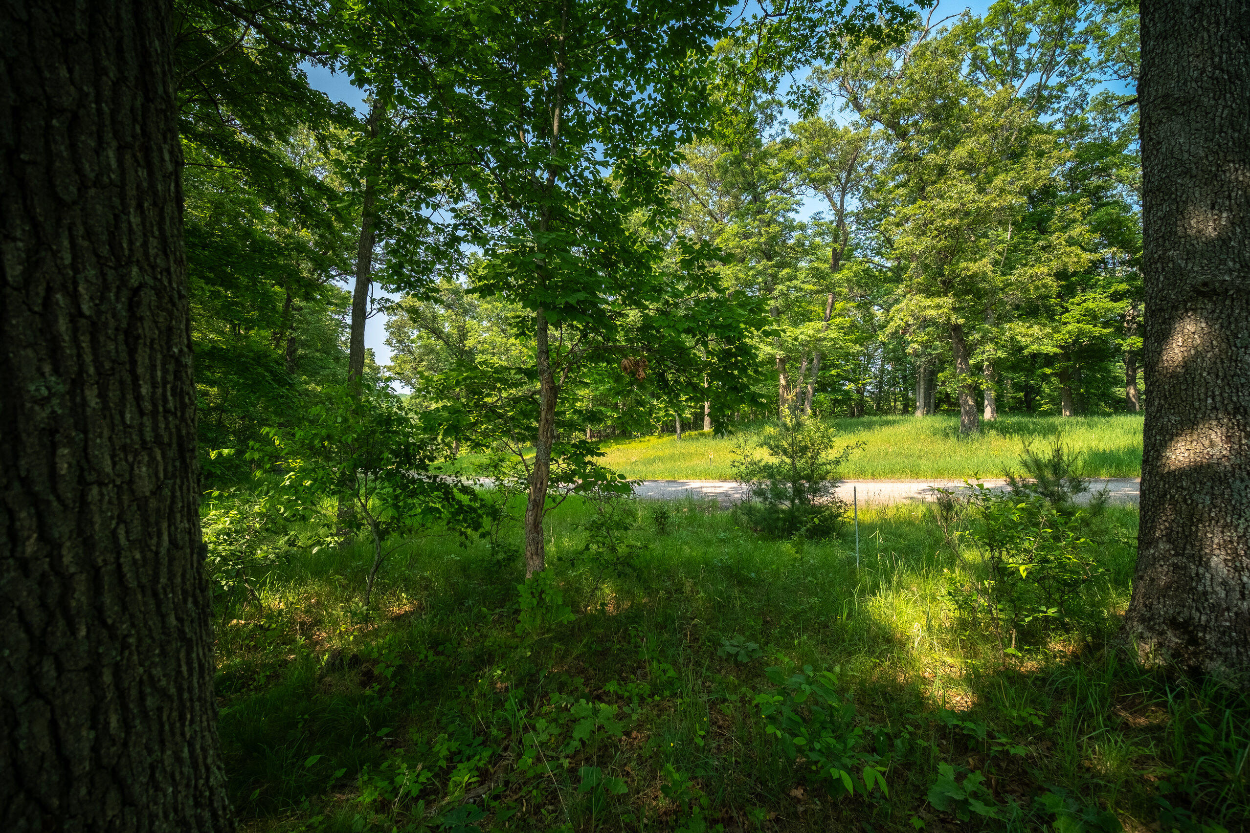 8161 Hunters Ridge Drive Irons, MI 49644 - Photo 27 of 37 Additional Views
