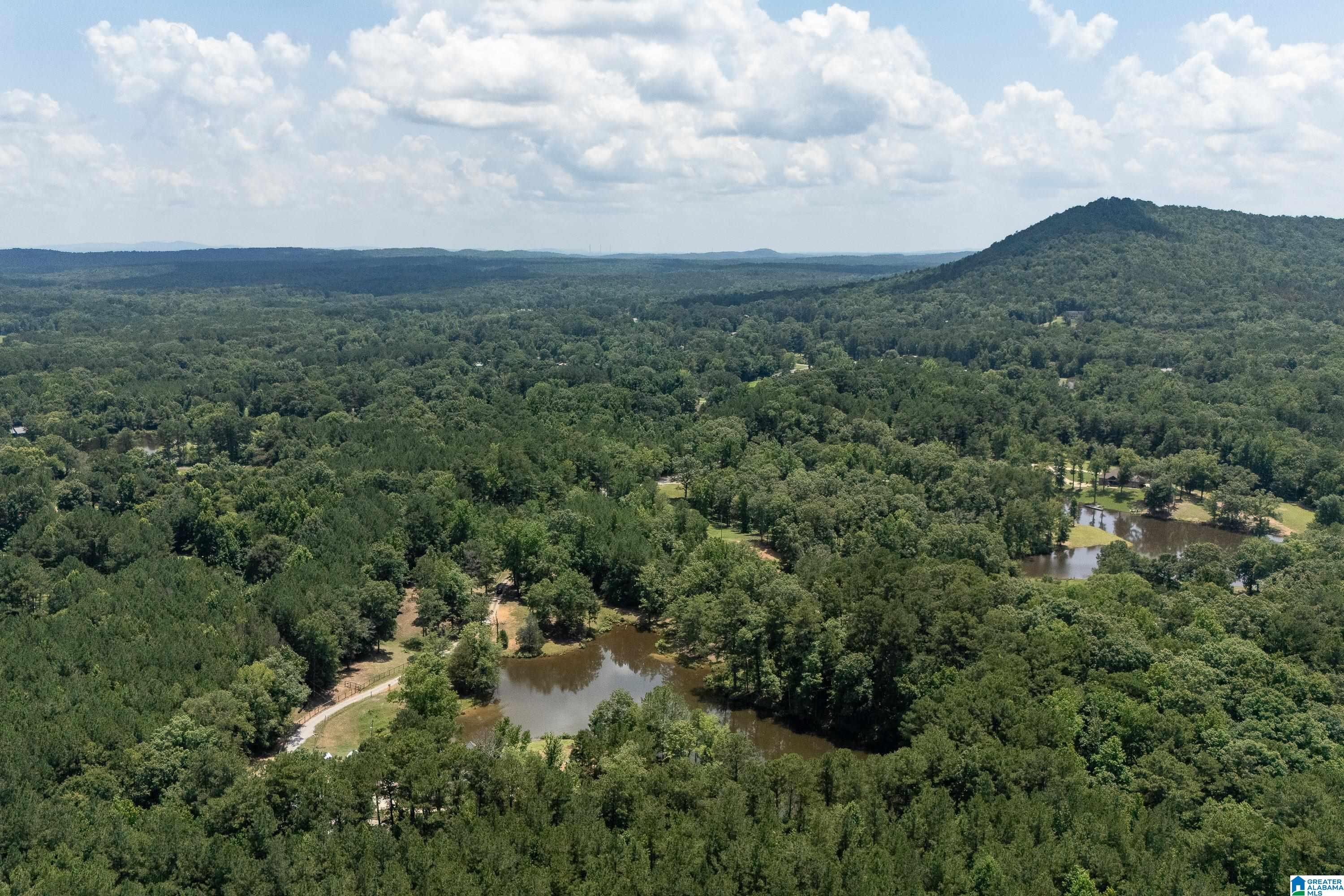 340 Lake Cottage Road Sterrett, AL 35147 - Photo 81 of 83