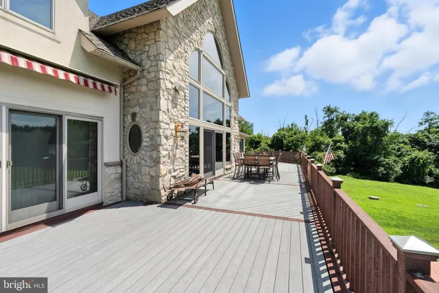 a view of a flower in a garden