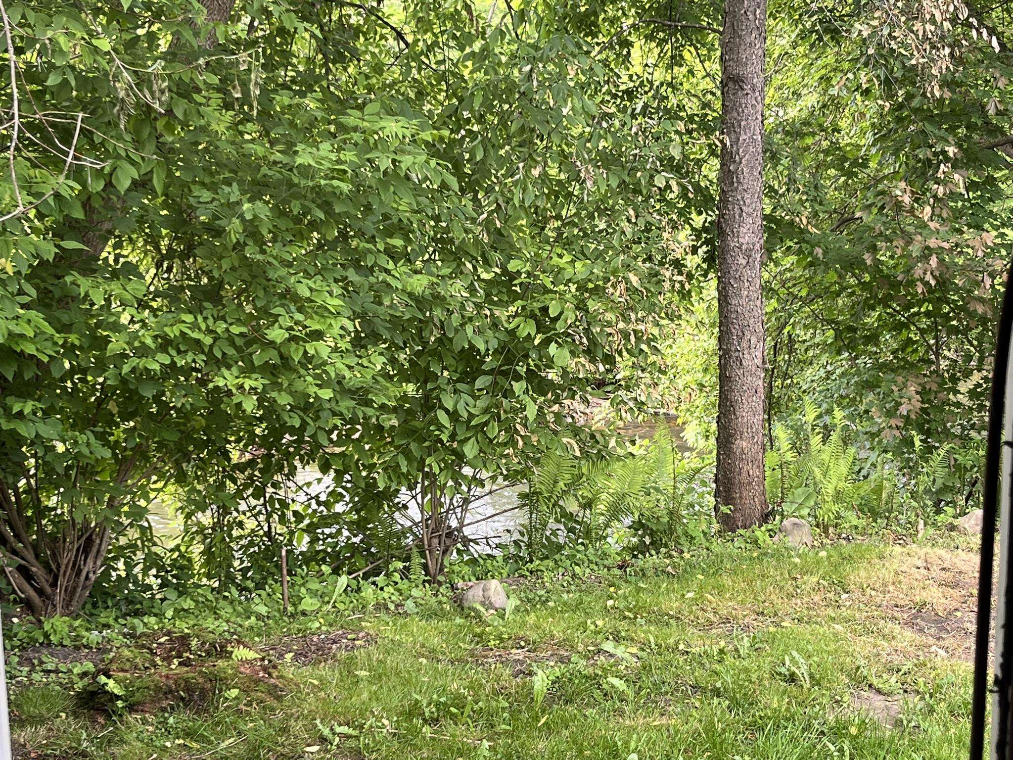 498 Clyde Street Newport, VT 05855 - Photo 27 of 38