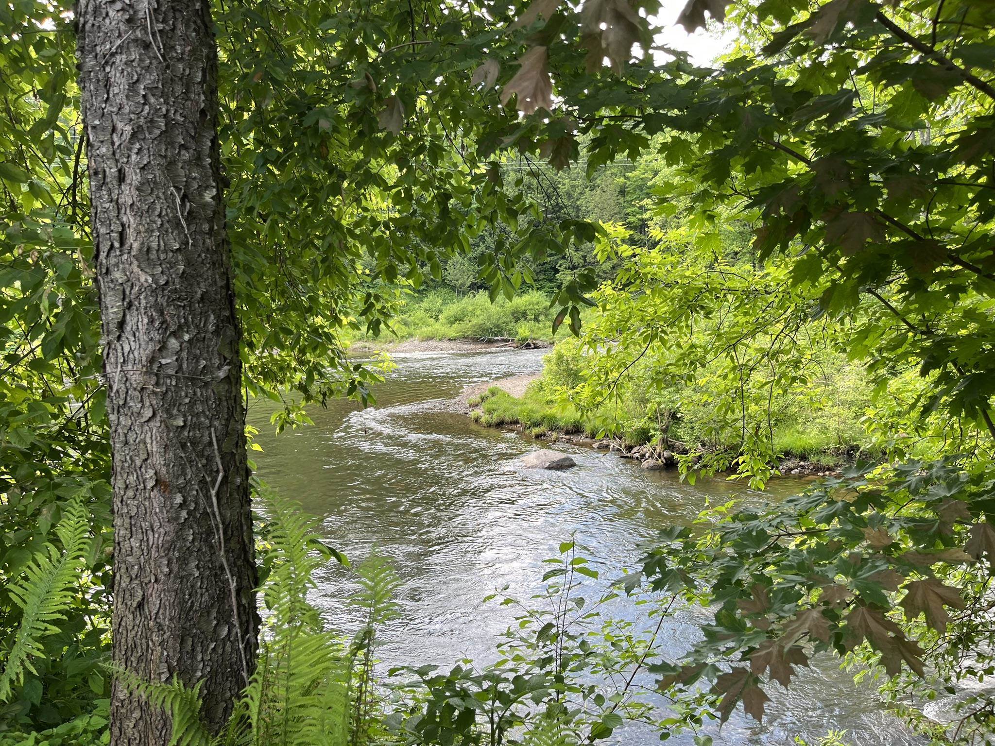 498 Clyde Street Newport, VT 05855 - Photo 7 of 38