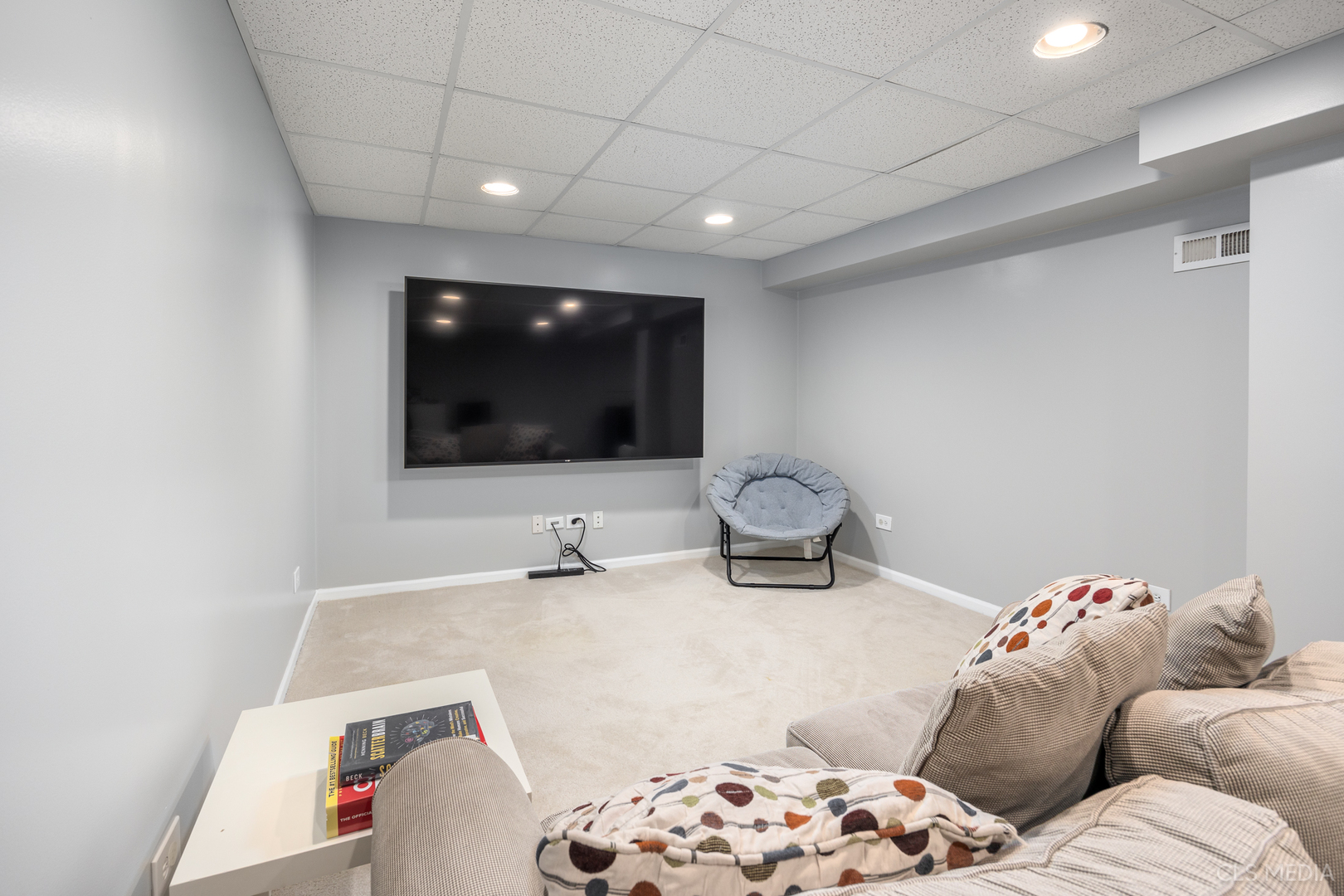 658 Cutter Lane Elk Grove Village, IL 60007 - Photo 24 of 33 a living room with a couch and a flat screen tv