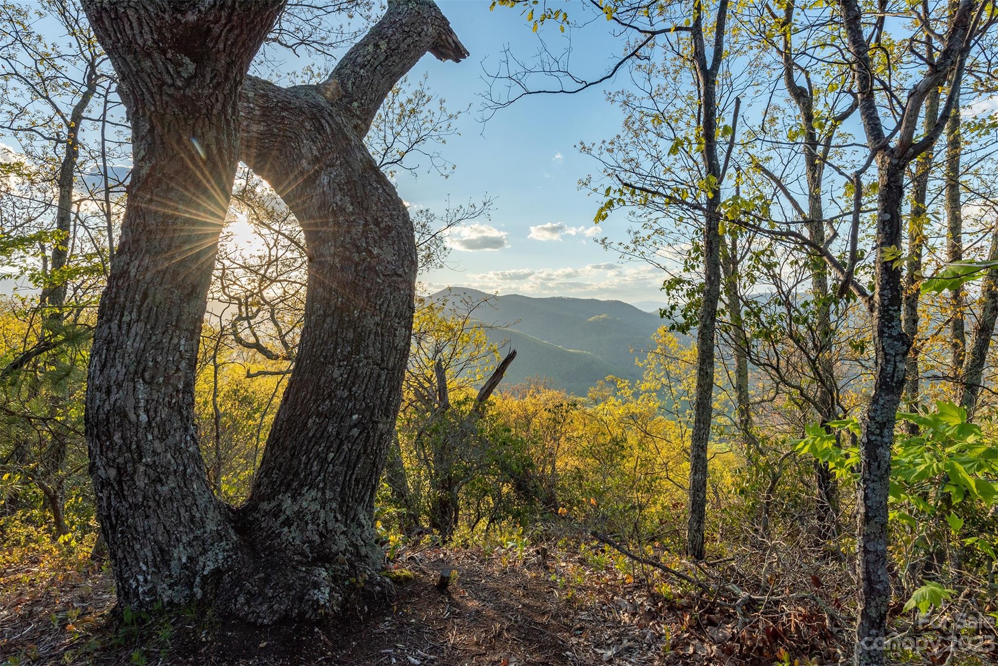 685 Talbot Drive Canton, NC 28716 - Photo 37 of 48 a view of swimming pool from a lake view