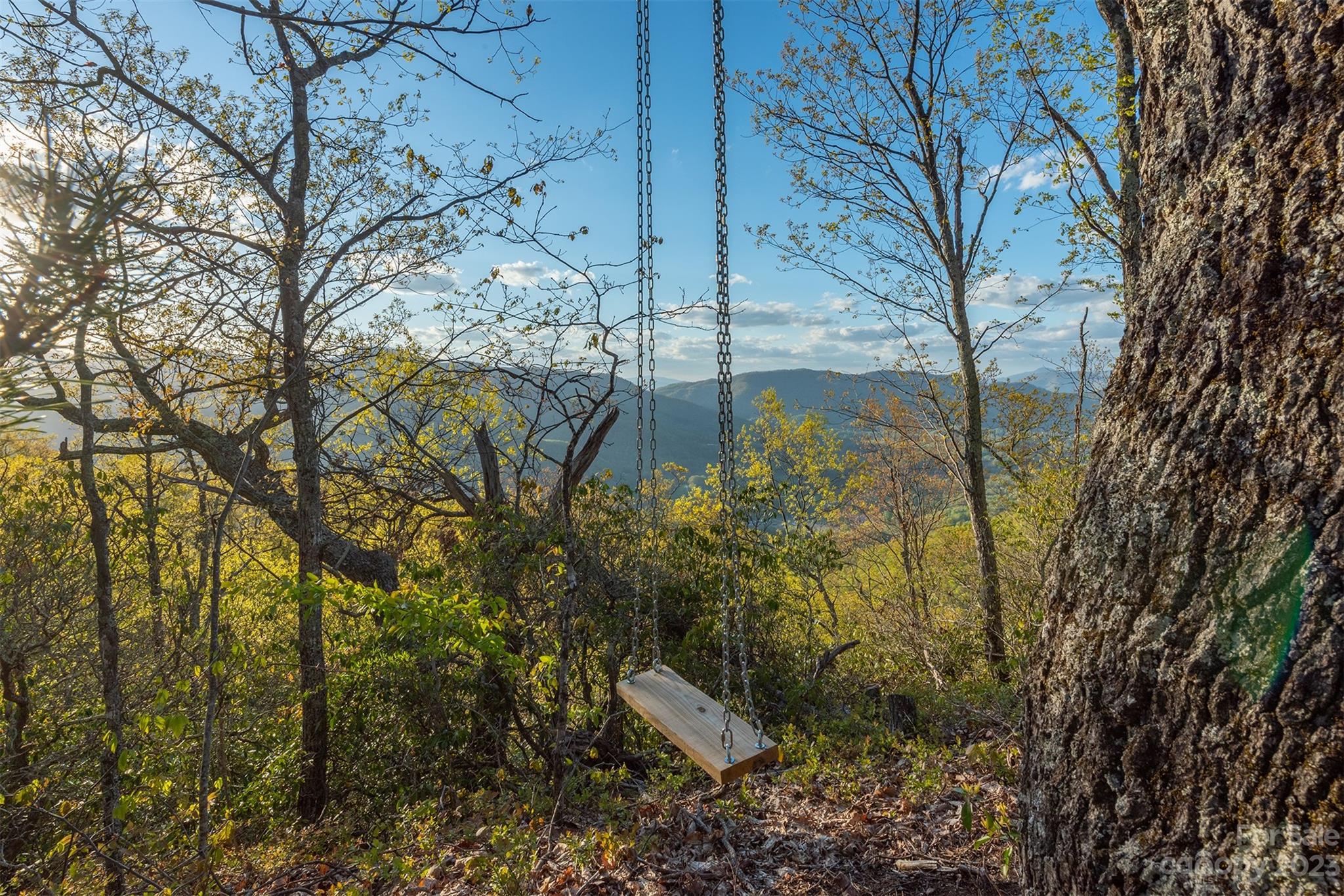 685 Talbot Drive Canton, NC 28716 - Photo 38 of 48 a backyard of a house with lots of green space