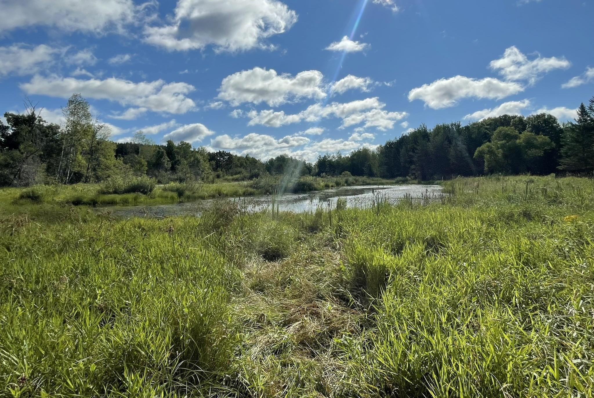 6552 Austin Road Baxter, MN 56425 - Photo 7 of 14
