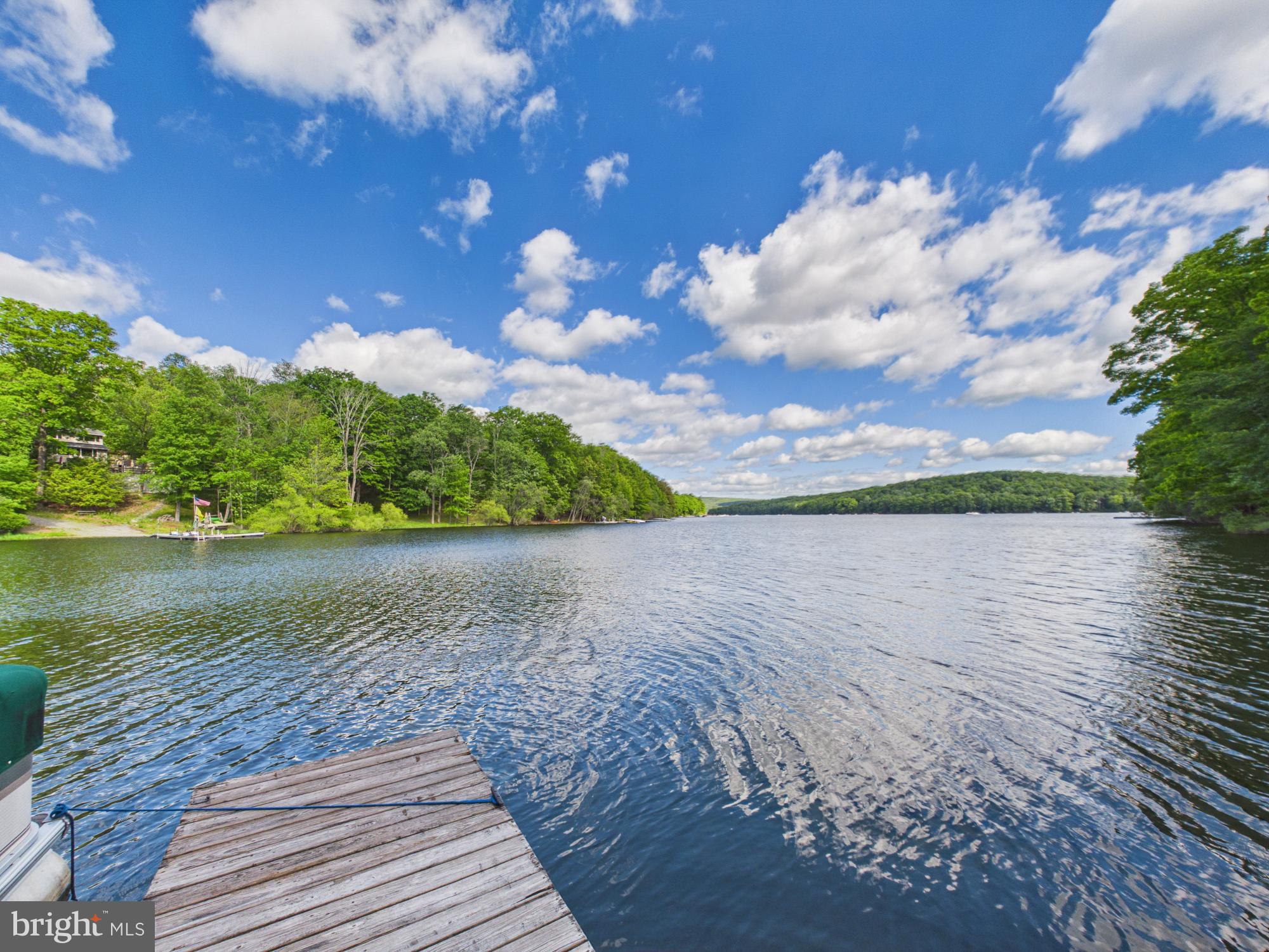 477 Finn Swamp Road Lakeville, PA 18438 - Photo 23 of 53 Martins Cove