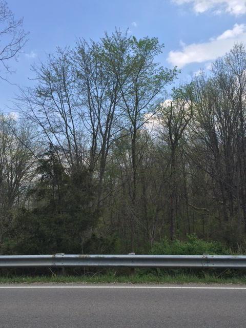 0 Lackey Old State Road Delaware, OH 43015 - Photo 2 of 4