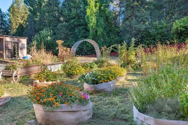 a kitchen with a stove sink cabinets and wooden floor