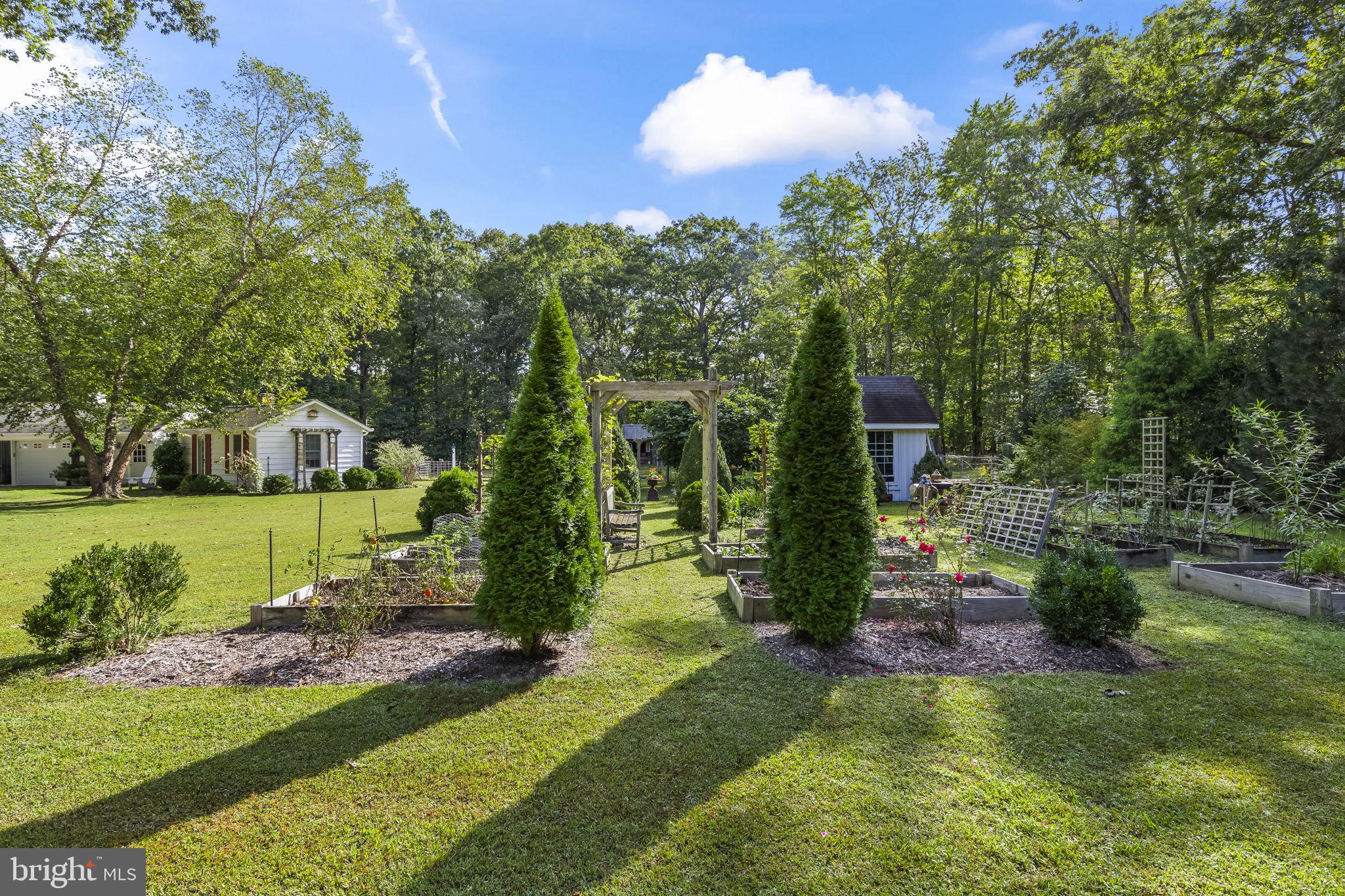 8150 Fairground Road La Plata, MD 20646 - Photo 79 of 100 a view of a park with large trees