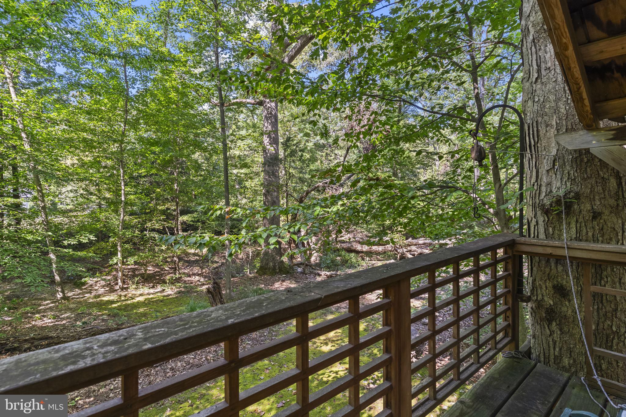 8150 Fairground Road La Plata, MD 20646 - Photo 84 of 100 Tree house