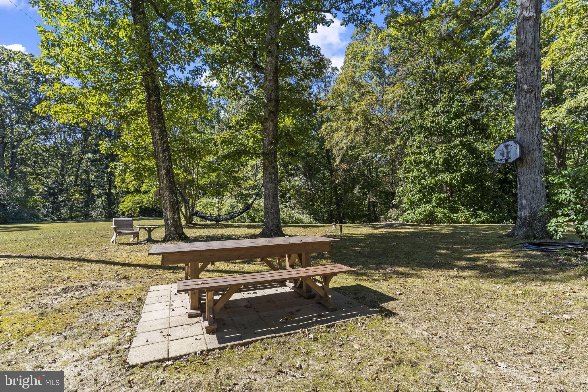 8150 Fairground Road La Plata, MD 20646 - Photo 93 of 100 a view of a yard with large trees