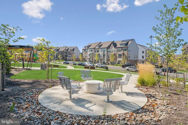 a view of a park with a trees