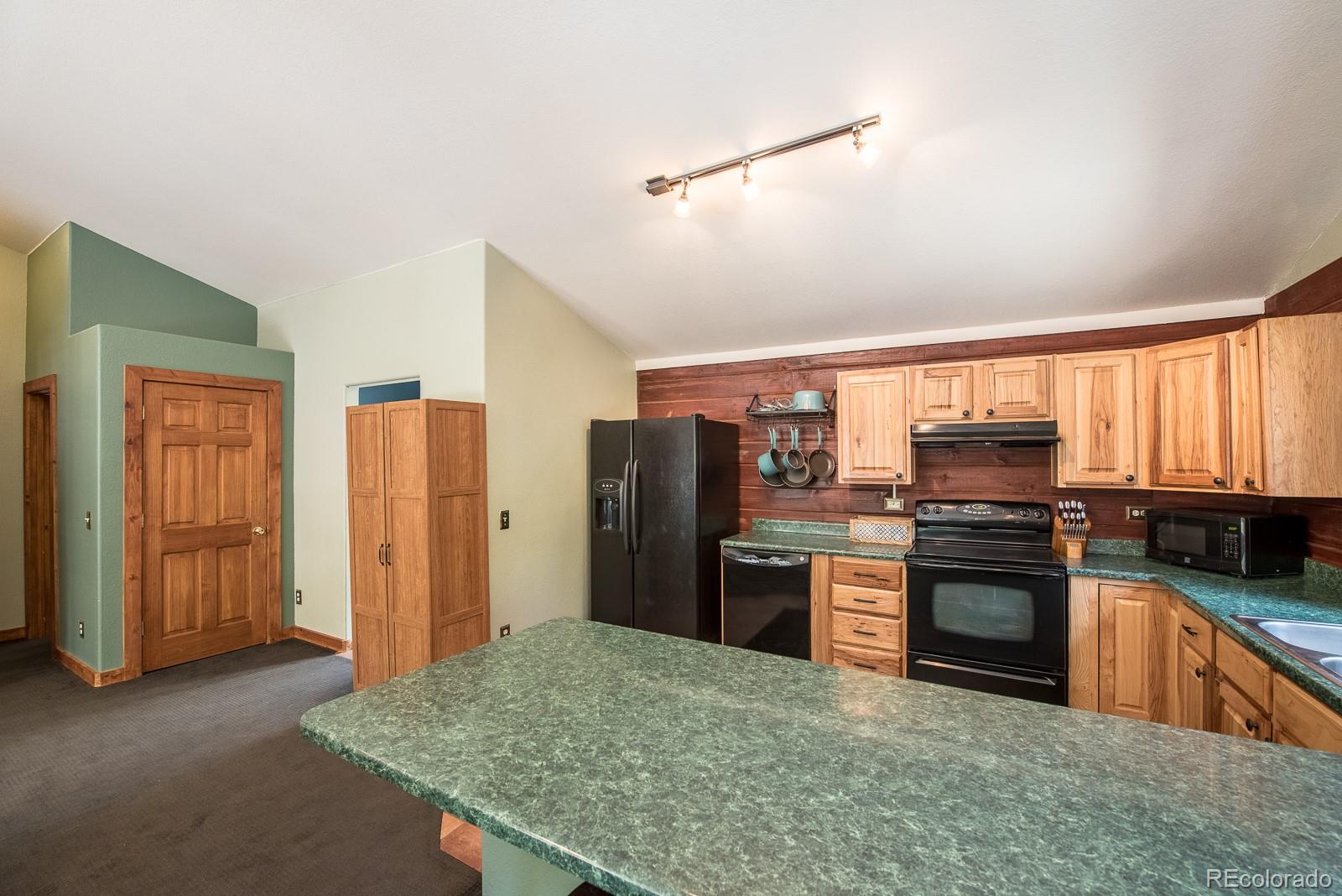 324 Upper Forest Road Idaho Springs, CO 80452 - Photo 24 of 33 Gallery Image 24