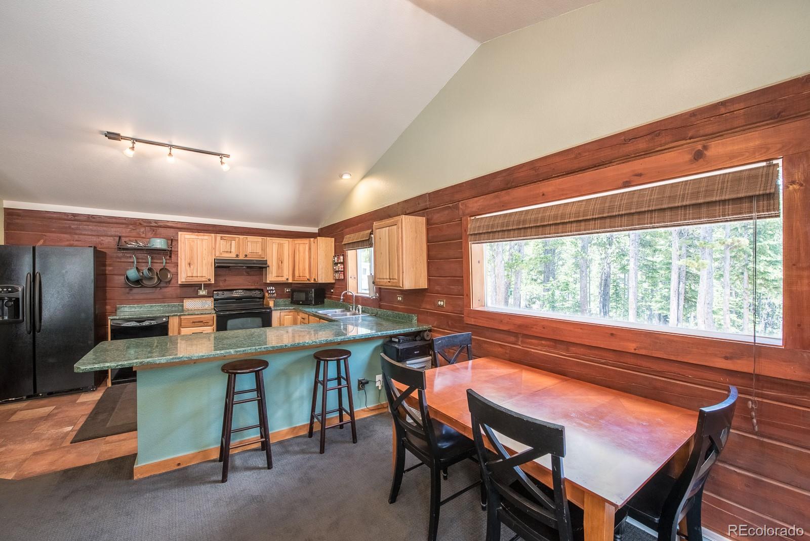 324 Upper Forest Road Idaho Springs, CO 80452 - Photo 7 of 33 Gallery Image 7