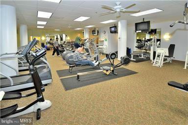 19355 Cypress Ridge Terrace, Unit 1003 Leesburg, VA 20176 - Photo 19 of 29 FITNESS, HIKING, WATER VOLLEY, WALKING PATHS