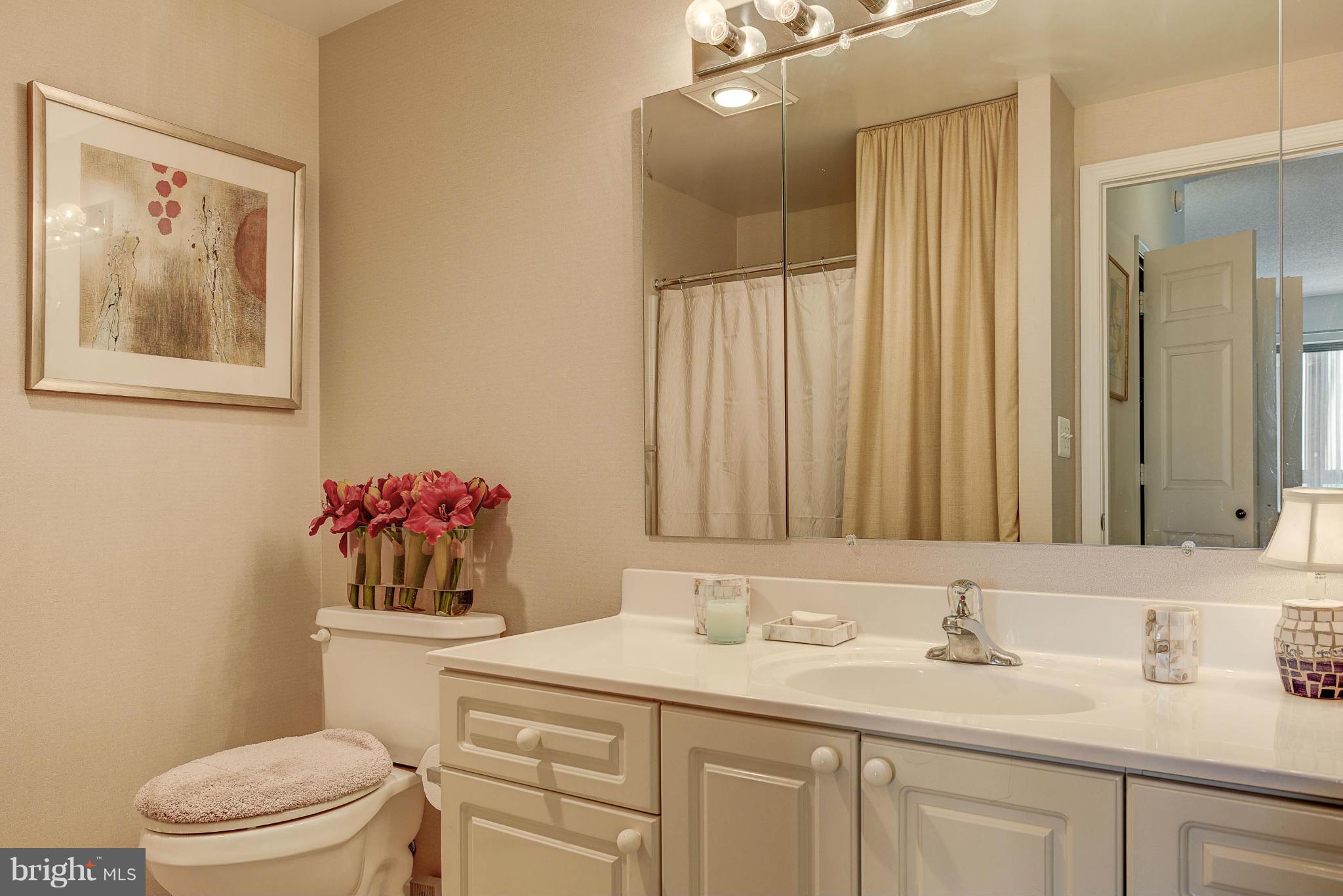 19355 Cypress Ridge Terrace, Unit 1003 Leesburg, VA 20176 - Photo 6 of 29 MASTER BATH SHOWER AND TUB