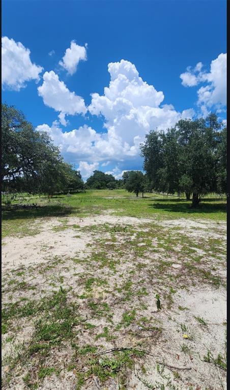 562 Libby Road Babson Park, FL 33827 - Photo 41 of 42