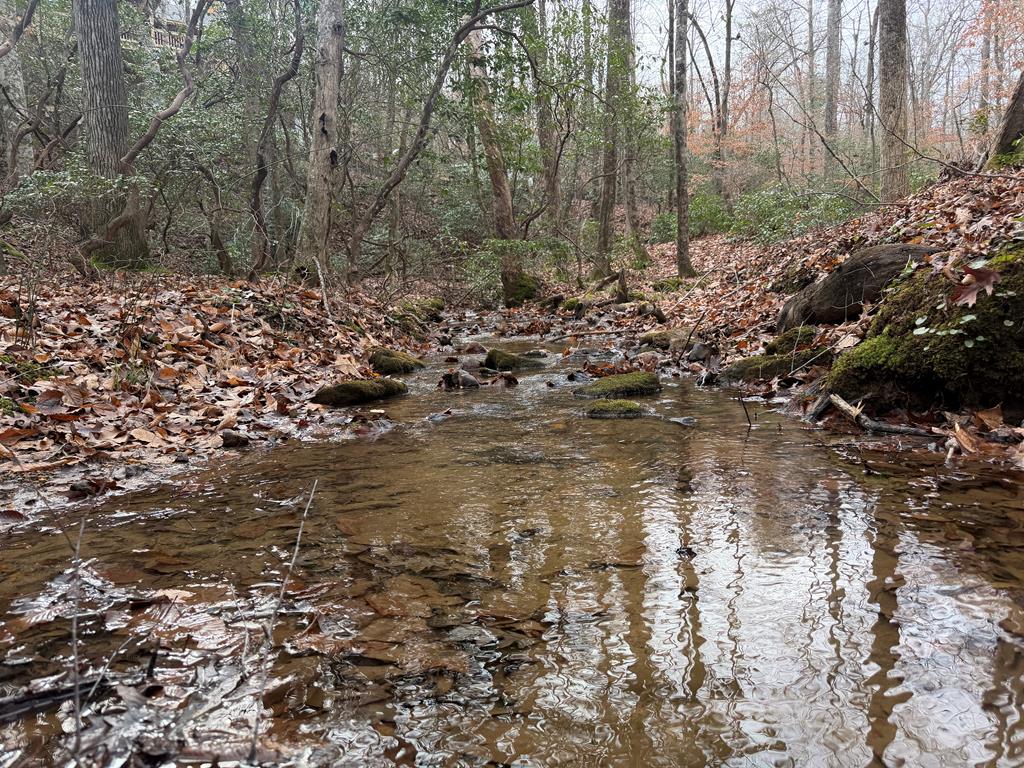 811 Mangum's Trail Blue Ridge, GA 30513 - Photo 65 of 70