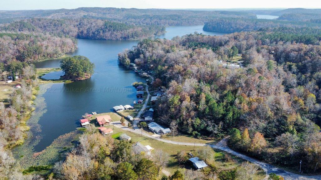 86 Chappell Fish Camp Road Parrish, AL 35580 - Photo 3 of 23 Gallery Image 3