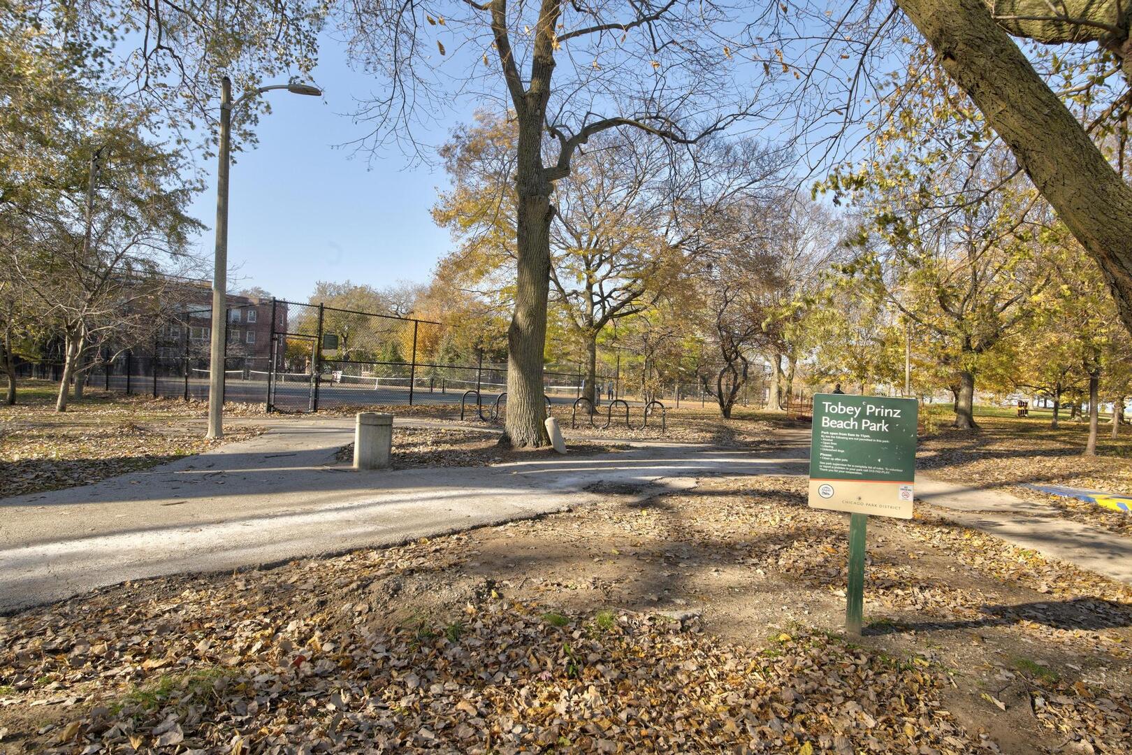 6743 North Sheridan Road, Unit 1N Chicago, IL 60626 - Photo 4 of 26 a view of a yard with plants and trees