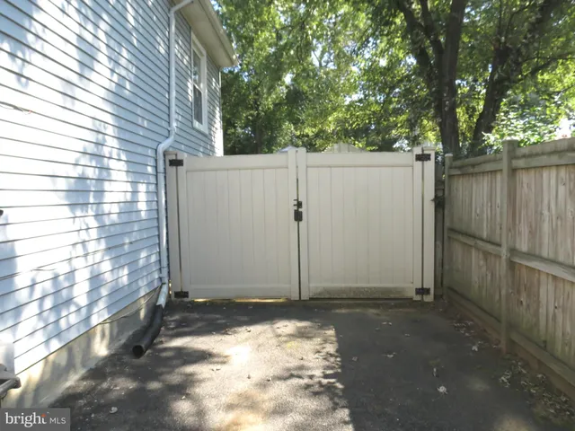 a view of backyard with potted plants and a large tree