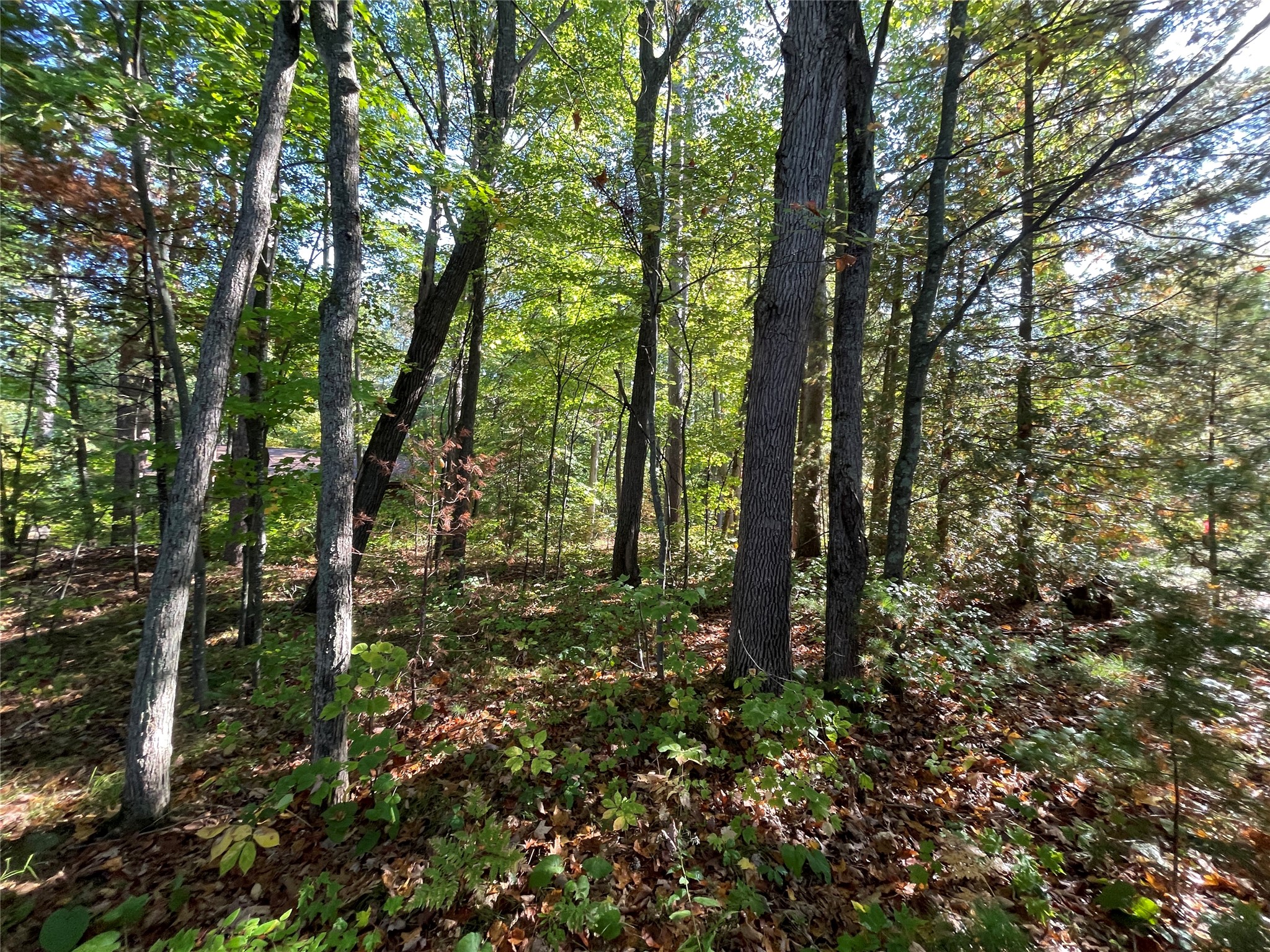 6073 North Elsie Road Stone Lake, WI 54876 - Photo 20 of 42