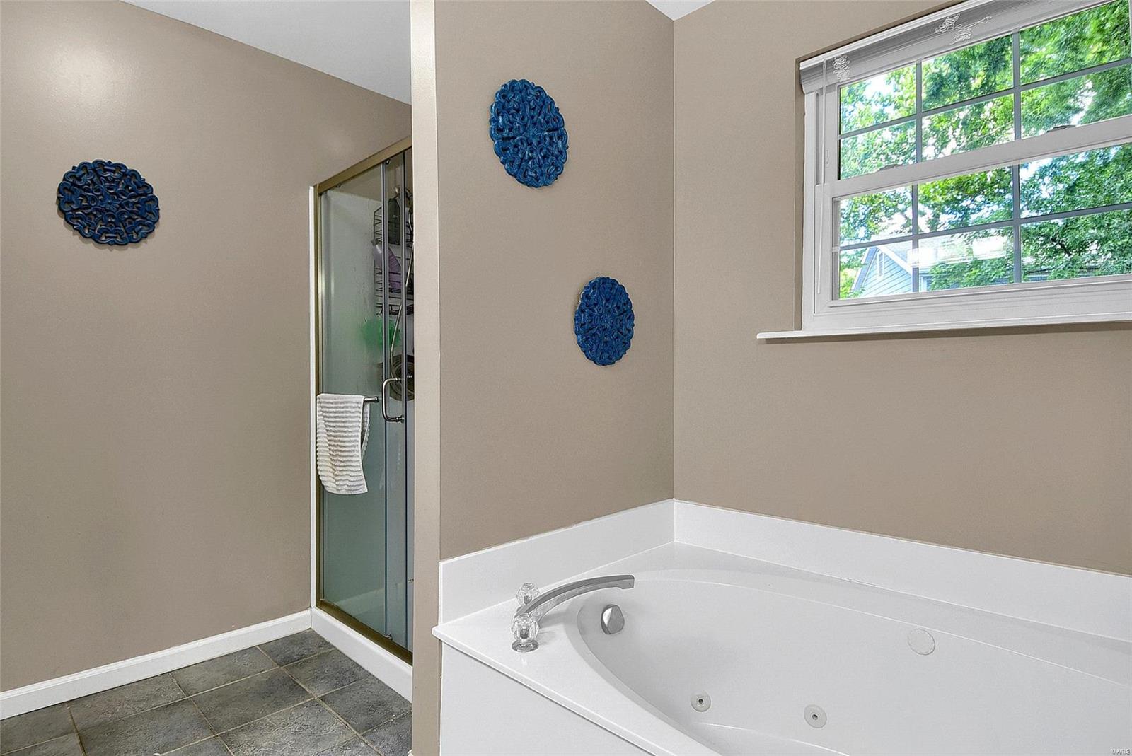 527 East Jackson Road St. Louis, MO 63119 - Photo 19 of 40 Gallery Image 19