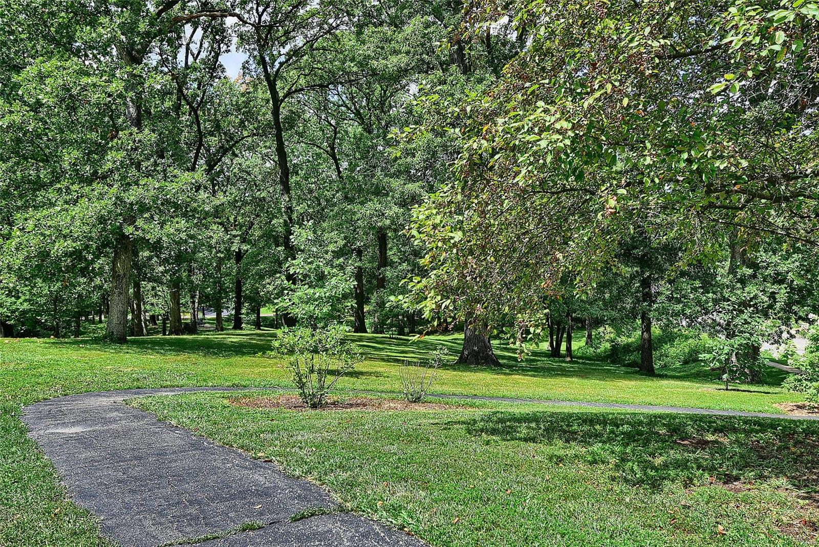 527 East Jackson Road St. Louis, MO 63119 - Photo 38 of 40 Gallery Image 38
